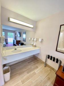 a bathroom with a sink and a large mirror at REGENCY INN in Orlando