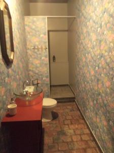 La salle de bains est pourvue de toilettes, d'un lavabo et d'une douche. dans l'établissement Studio Les Pourettes, à Feusines