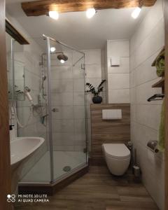 a bathroom with a shower and a toilet and a sink at Berghof Apartment Bergwiese Top 31 in Ellmau