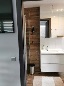 a bathroom with a sink and a mirror at 10 Bed And Breakfast in Poznań