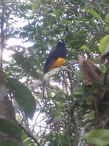 Billede fra billedgalleriet på Chácara Recanto dos recantos i Itanhaém