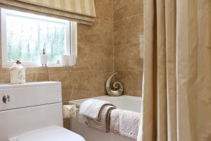 a bathroom with a toilet and a tub and a window at Silversprings - City Centre Apartments with Parking in Exeter