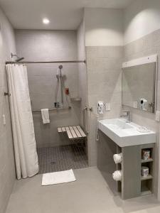 a bathroom with a sink and a shower at Hotel Ponce de Leon in Miami