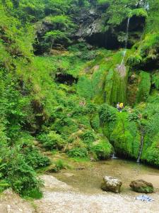 un grupo de personas de pie en un río con una cascada en Les jardins d'armance, en Le Valdahon