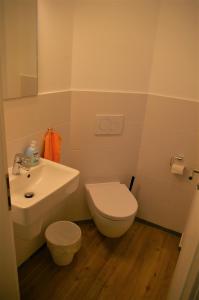 La salle de bains est pourvue de toilettes blanches et d'un lavabo. dans l'établissement Witt am See K, à Klein Wittensee
