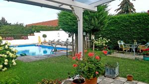 a backyard with a pool and a table and chairs at Ferienwohnung Riemeyer in Lutherstadt Wittenberg