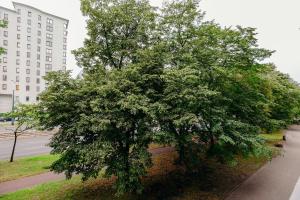 Fotografia z galérie ubytovania ShortStayPoland Jana Pawła (B27) vo Varšave