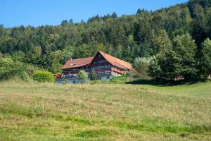 a large house on a hill in a field at Haus Nilson in Gengenbach