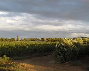 un camino de tierra en un campo con un campo de cultivos en Gîte de charme du Domaine Pagnon Frigoulette, en Torreilles