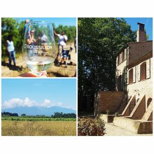 un collage de fotos con una copa de vino y una casa en Gîte de charme du Domaine Pagnon Frigoulette, en Torreilles