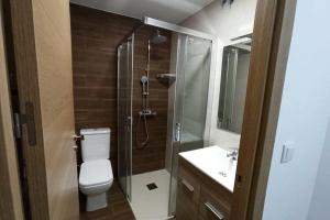 un bagno con doccia, WC e lavandino di Casa Rural Ruplas II a Villalba de Adaja
