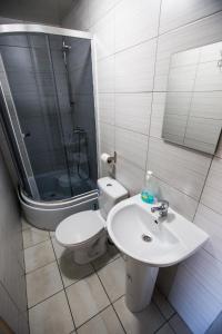 a bathroom with a toilet and a sink at Trakai Village apartments in Jovariškės