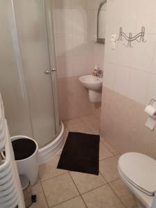 uma casa de banho com um chuveiro, um WC e um lavatório. em Apart - House em Sandomierz