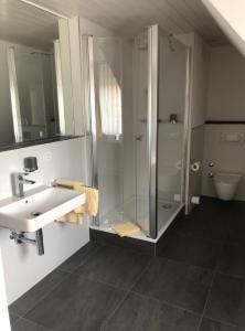 ein Bad mit einer Dusche und einem Waschbecken in der Unterkunft Haus am Park in Bad Hersfeld