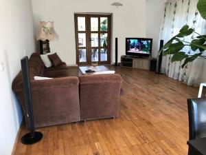uma sala de estar com um sofá e uma televisão em Cozy Villa with a beautiful view em Piatra Neamţ