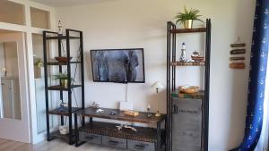 een kamer met een plank met een olifant aan de muur bij PEMATRA Ferienwohnungen Ostseestrasse 2 in Travemünde