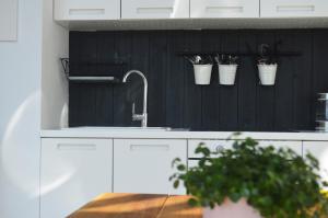 een keuken met een gootsteen en vier planten in emmers bij Siedlisko Ciemno in Ciemno +28 foto's