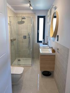 a bathroom with a shower and a toilet and a sink at APARTAMENT KRYNICA MORSKA in Krynica Morska