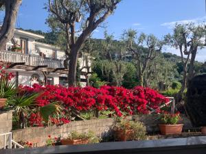 a garden of red flowers in front of a house at Villa Giovanna in Sorrento
