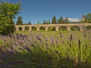 un puente de piedra en un campo con flores púrpuras en Hotel-Restaurant Le Moulin De La Camandoule en Fayence
