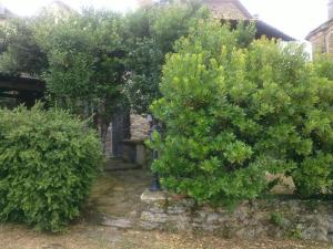 two large trees in front of a house at La Cuccia - La Villa-San Pacrazio in Ambra