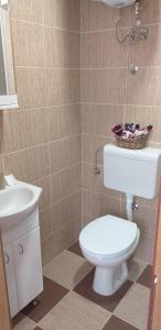 een badkamer met een toilet en een wastafel bij Apartman Golubovic in Veliko Gradište