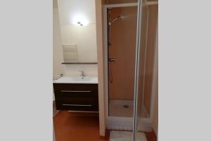 Koupelna v ubytování Appartement Le "La Fayette" , vue exceptionnelle sur le port de plaisance + 24 fotografií