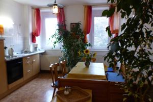 a kitchen with a table with a plant in it at Pension Schreckhof in Mosbach