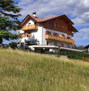 een groot huis met houten balkons op de top van een heuvel bij Agritur Rizzi di Inama Ugo in Coredo