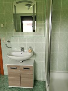 ein Bad mit einem Waschbecken und einer Dusche in der Unterkunft Monteur- und Ferienwohnung im Obergeschoss und Dachgeschoss - Familie Weber in Bockendorf