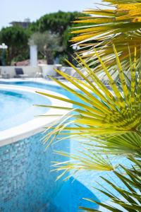 un palmier à côté d'une piscine dans l'établissement Hotel Conchiglia, à Cervia