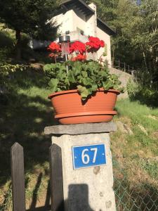 a pot of flowers on a stone pillar with a sign at Genzianella in Quinto
