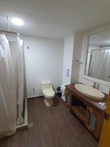 W łazience znajduje się toaleta, umywalka i lustro. w obiekcie HOTEL BOUTIQUE EL FARO BY AROMAX w mieście Medellín