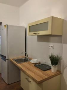 a kitchen with a sink and a refrigerator at Borbély apartman in Nagykanizsa