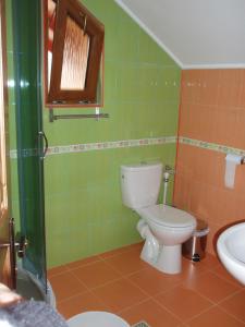 a bathroom with a toilet and a sink at Arnota in Costeşti