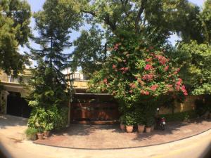 Gallery image of E Lodge in Islamabad