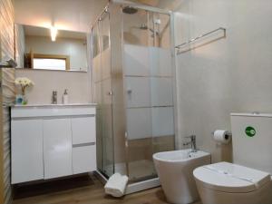 a bathroom with a shower and a toilet and a sink at Casa da Ponte in Mirandela