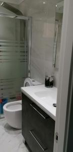 La salle de bains est pourvue d'un lavabo, de toilettes et d'une douche. dans l'établissement ApartamentoOtero, à Oviedo