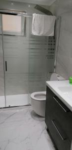 La salle de bains est pourvue d'une douche en verre et de toilettes. dans l'établissement ApartamentoOtero, à Oviedo