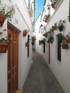 a narrow alley with potted plants and a door at Casa de La Costurera in Priego de Córdoba