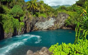 Un río en medio de una jungla en Maui Vista - Kihei Kai Nani Beach Condos en Kihei