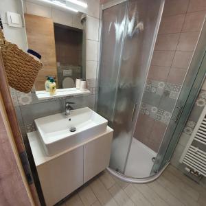 a bathroom with a sink and a shower at Apartma Rožle in Mojstrana +75 photos