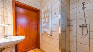 Kúpeľňa v ubytovaní Apartamenty Kwisa + 12 fotografií