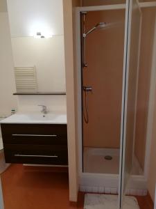 Koupelna v ubytování Appartement Le "La Fayette" , vue exceptionnelle sur le port de plaisance