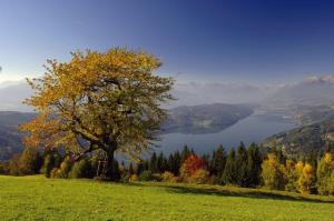 Fotografie z fotogalerie ubytování Fewo Martiner v destinaci Ferndorf