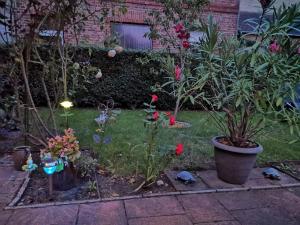 Zahrada ubytování Spreewald Ferienwohnung Wollgast