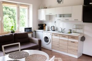Η κουζίνα ή μικρή κουζίνα στο Apartament Mrągowo +41 φωτογραφίες