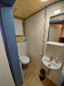 een kleine badkamer met een toilet en een wastafel bij Ferienwohnung Altenstein in Maroldsweisach