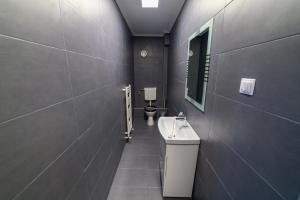un baño con lavabo e inodoro en Aviator Apartament Alpha, en Deva