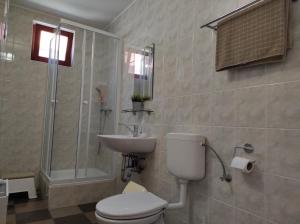 een badkamer met een toilet, een wastafel en een douche bij RP FitLife Stúdió és Vendégház in Szentgál